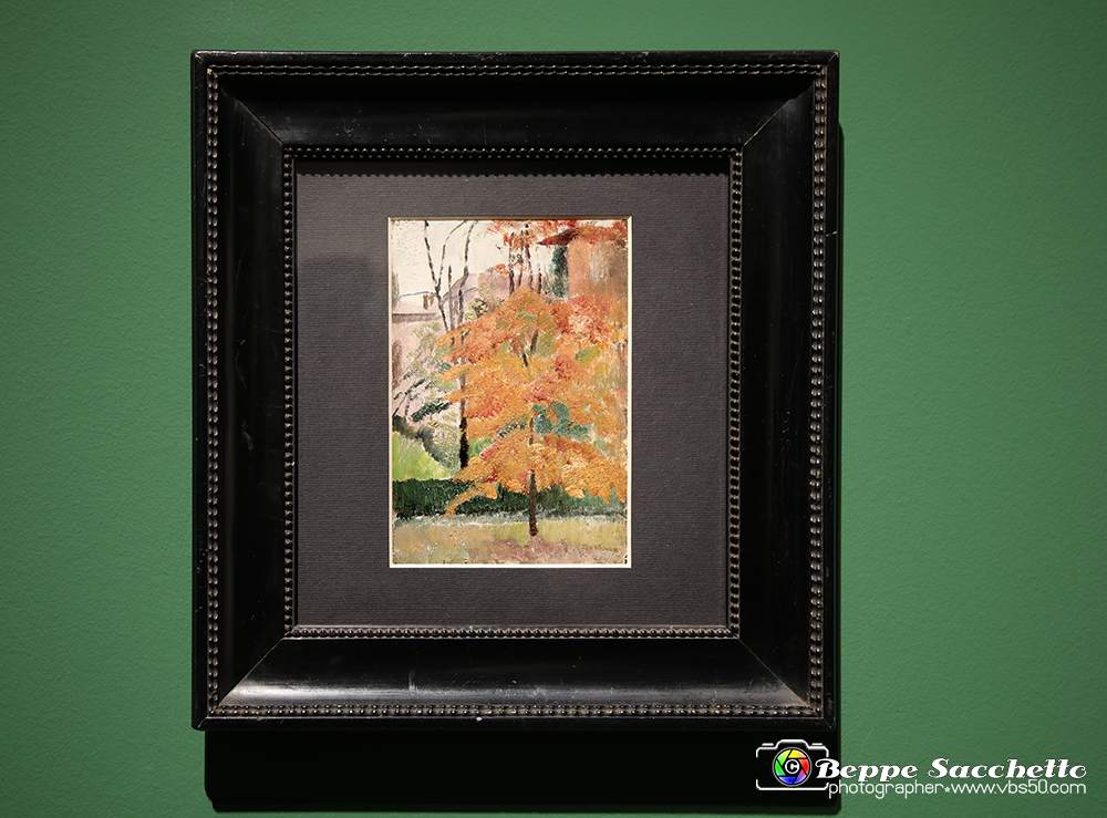 VBS_1735 - Castello di Miradolo - Mostra Oltre il giardino l'Abbecedario di paolo Pejrone.jpg